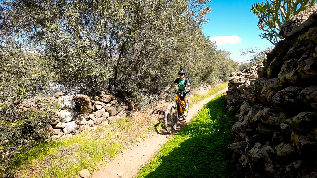 Premium E-MTB & MTB holidays in Gran Canaria